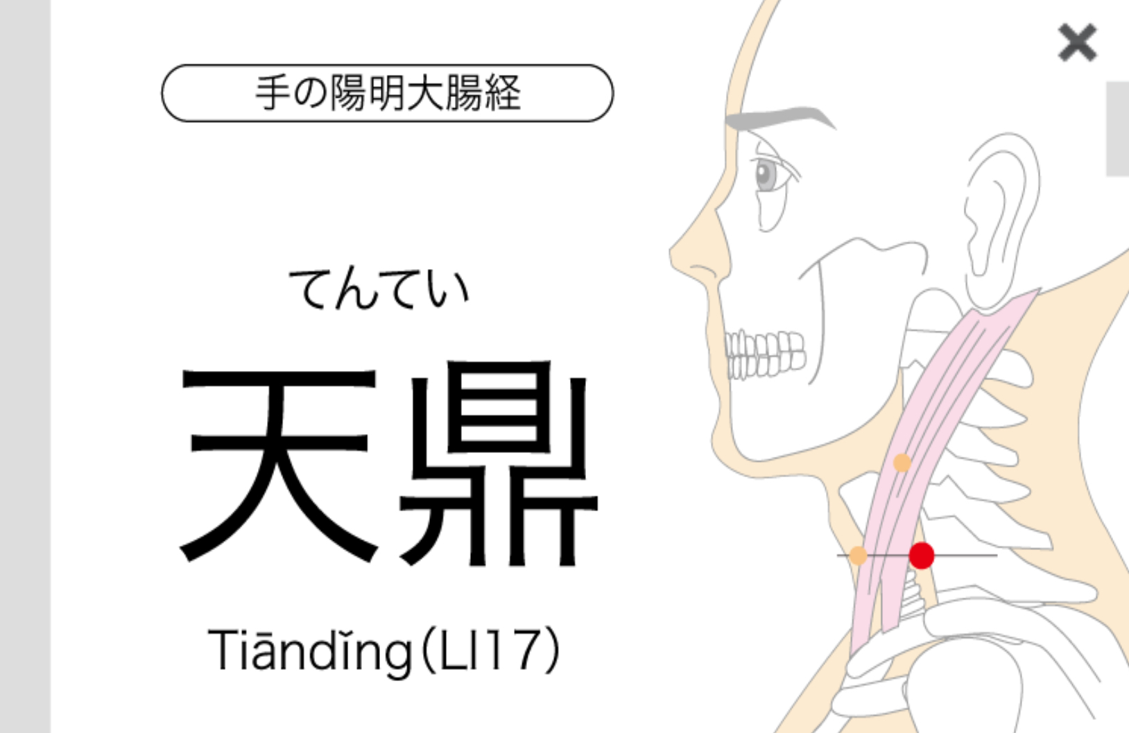 肩こり、不眠、不安に効果のあるツボの場所を示したイラスト